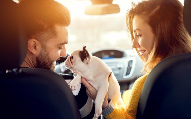 Couple in a used car with their puppy